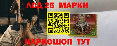 дмт Кингисепп