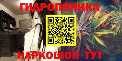дмт Кингисепп