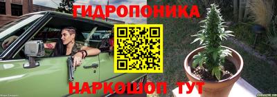 дмт Кингисепп