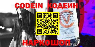 дмт Кингисепп