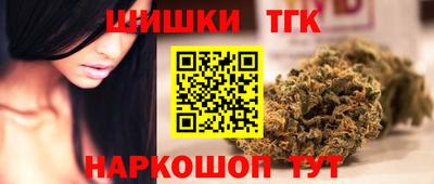 дмт Кингисепп