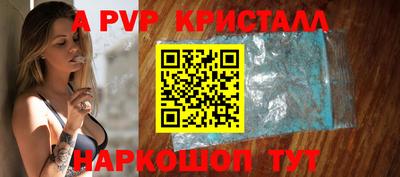 дмт Кингисепп