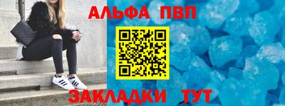 дмт Кингисепп
