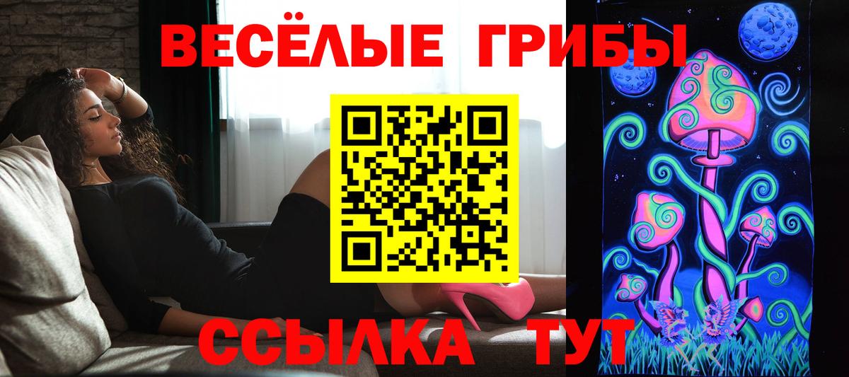 где купить наркотик  Вход с VPN  Заволжье  Галлюциногенные грибы прущие грибы 