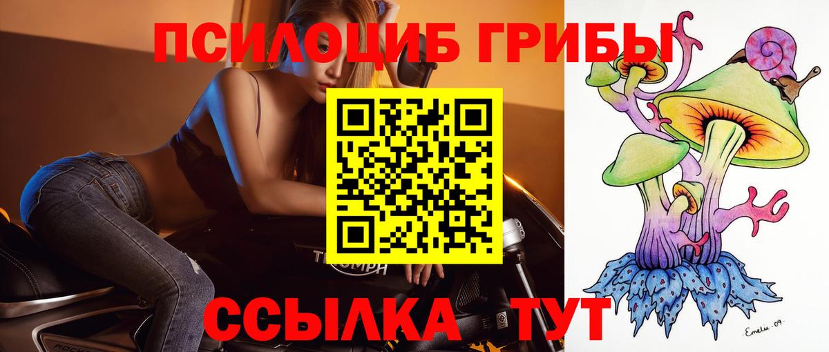 Псилоцибиновые грибы мухоморы Заволжье